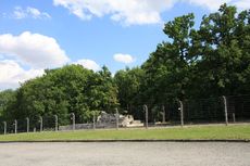 Buchenwald_5911.JPG